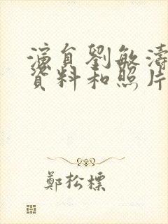 演员刘敏涛个人资料和照片