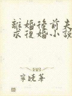 离婚后前夫哭着求复婚小说完整版本封面