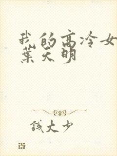 我的高冷女总裁叶天明