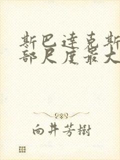 斯巴达克斯哪一部尺度最大封面