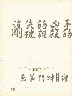 消失的凶手段志刚被谁杀的