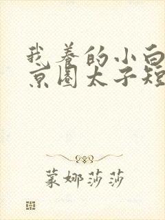 我养的小白脸是京圈太子短剧