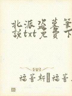 北派盗墓笔记小说txt免费下载
