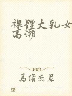 裸体大乳女做爰高潮