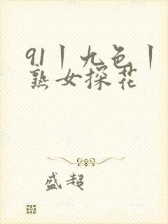 91丨九色丨老熟女探花封面