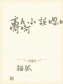 高h小说嗯嗯啊啊啊封面