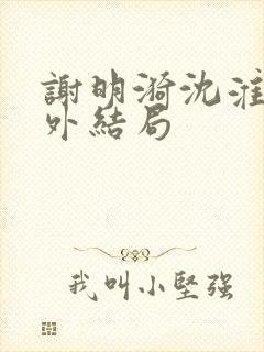 谢明漪沈淮舟番外结局封面