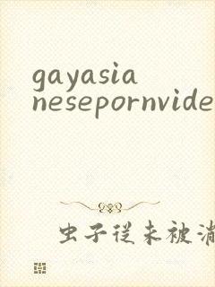 gayasianesepornvideo