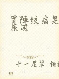 胃阵绞痛是什么原因