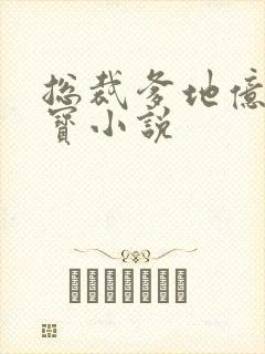 总裁爹地亿万萌宝小说