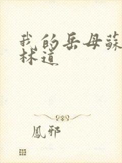 我的岳母苏沛真林道