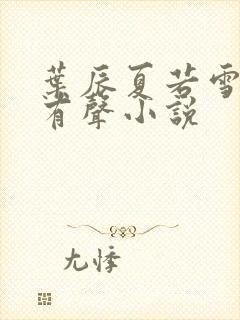 叶辰夏若雪孙怡有声小说