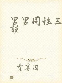 男男同性三级小说