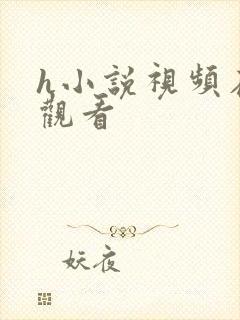 h小说视频在线观看