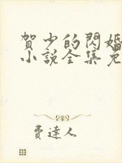 贺少的闪婚暖妻小说全集免费阅读