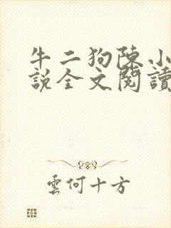 牛二狗陈小燕小说全文阅读
