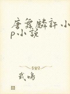 唐舞麟许小言cp小说封面