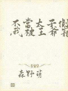 不当太子侧妃后,我被王爷宠成宝短剧全集