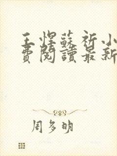 王悍苏祈小说免费阅读最新章节