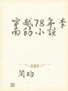 穿越78年李向南的小说