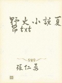 野火小说夏布多昂txt