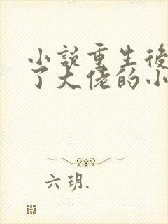 小说重生后我成了大佬的小心肝