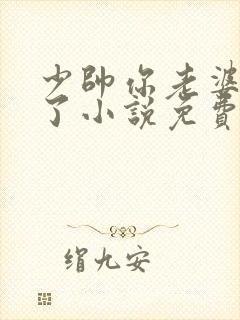 少帅你老婆又跑了小说免费下载封面