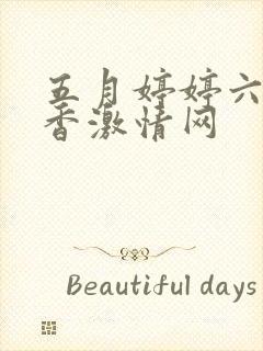 五月婷婷六月丁香激情网