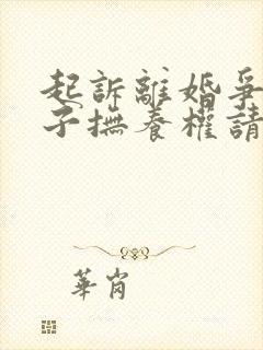 起诉离婚争取孩子抚养权请律师费用多少钱