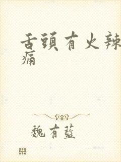 舌头有火辣辣的痛封面