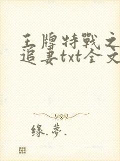 王牌特战之权少追妻txt全文下载