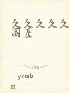 久久久久久精品国产封面