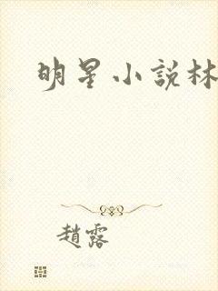 明星小说林俊逸