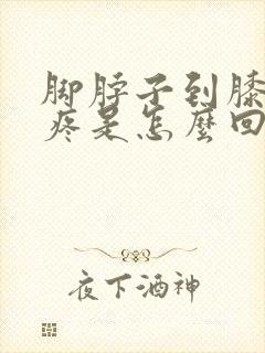 脚脖子到膝盖酸疼是怎么回事