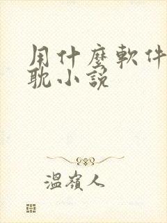 用什么软件看原耽小说