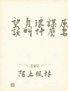 望月琅谋原著小说叫什么名字