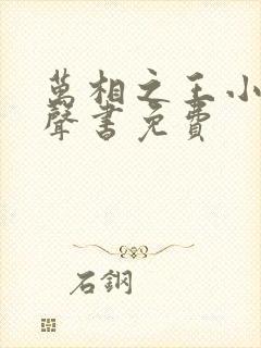 万相之王小说有声书免费