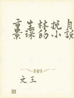 重生林挽月和顾景琛的小说