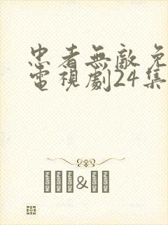 忠者无敌免费版电视剧24集播放