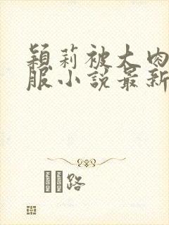 颖莉被大肉楱征服小说最新章节封面