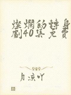 灿烂的转身电视剧40集免费观看高清