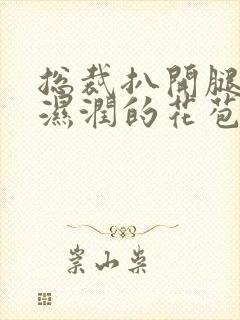 总裁扒开腿挺进湿润的花苞