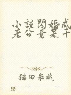 小说闪婚成宠,老公竟是千亿大佬