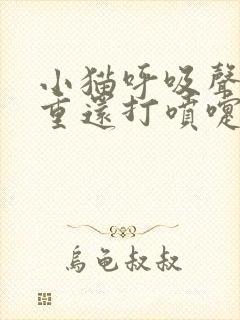 小猫呼吸声音粗重还打喷嚏