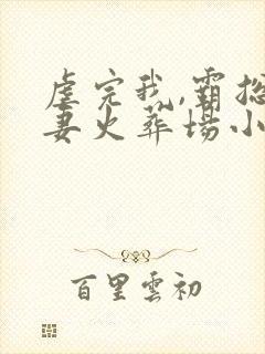 虐完我,霸总追妻火葬场小说