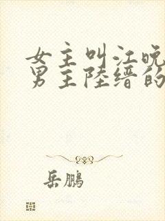 女主叫江晚吟,男主陆缙的小说