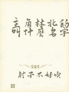 主角林北的小说叫什么名字