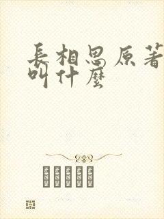 长相思原著小说叫什么封面