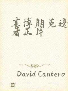 赛博朋克边缘行者正片