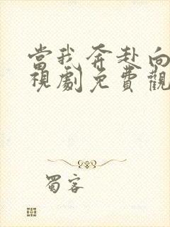 当我奔赴向你电视剧免费观看全集高清